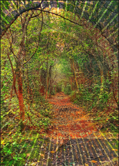 Re-Emergence - Composite Photograph on Metal
