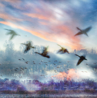 When Hope Beckons - Composite Photograph on Metal