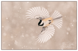 Nature Art Cards - Winter