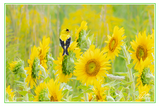 Nature Art Cards - Spring + Summer
