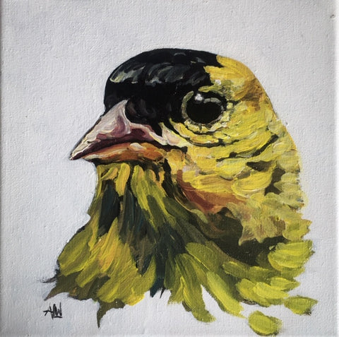 Goldfinch Portrait